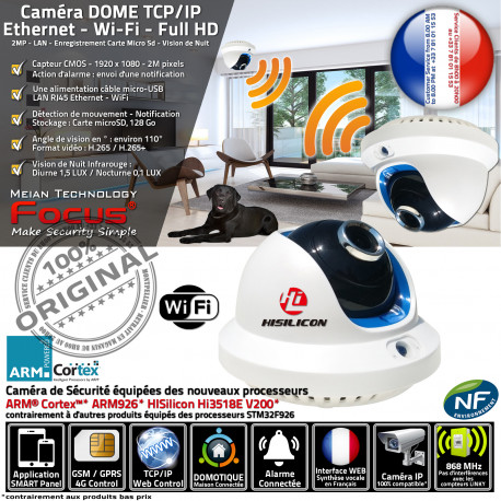 Caméra Dôme HA-8501 Ethernet Wi-Fi Maison Nuit Enregistrement Alarme Protection Surveillance Panoramique Vision Système Sécurité